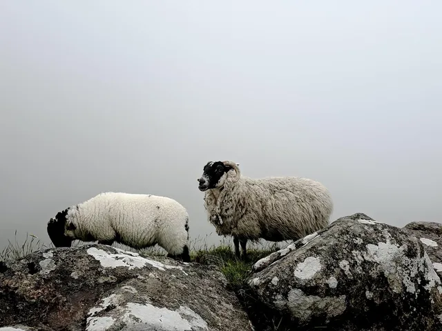 Des gars modèles (2008)