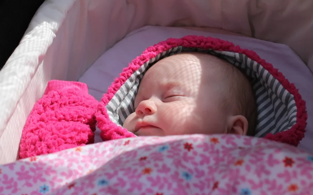 Landau « Soft Pram » de Baby Jogger Company