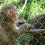Zoo de granby