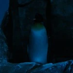 Pingouin