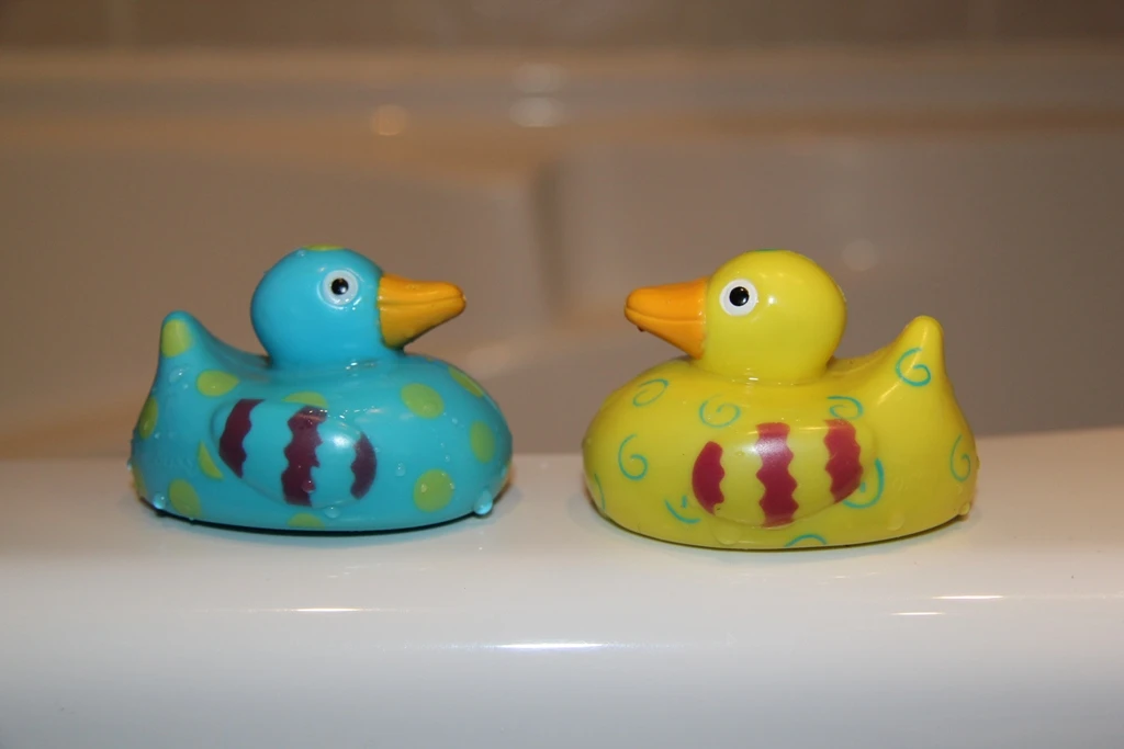 Deux canards Sassy