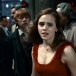 harry-potter-et-les-reliques-de-la-mort-partie-1-de-david-yates-10303604oakcv