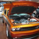 img0155xs