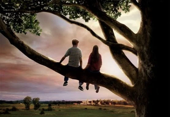 Un coeur à l’envers (2010)